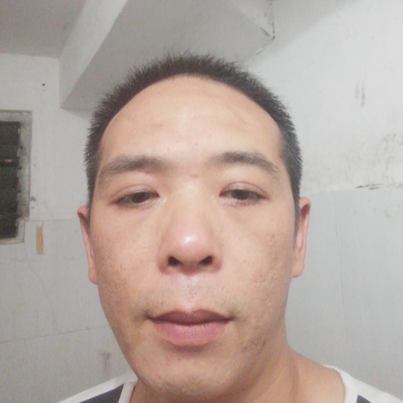 月饼和有魅力的照片