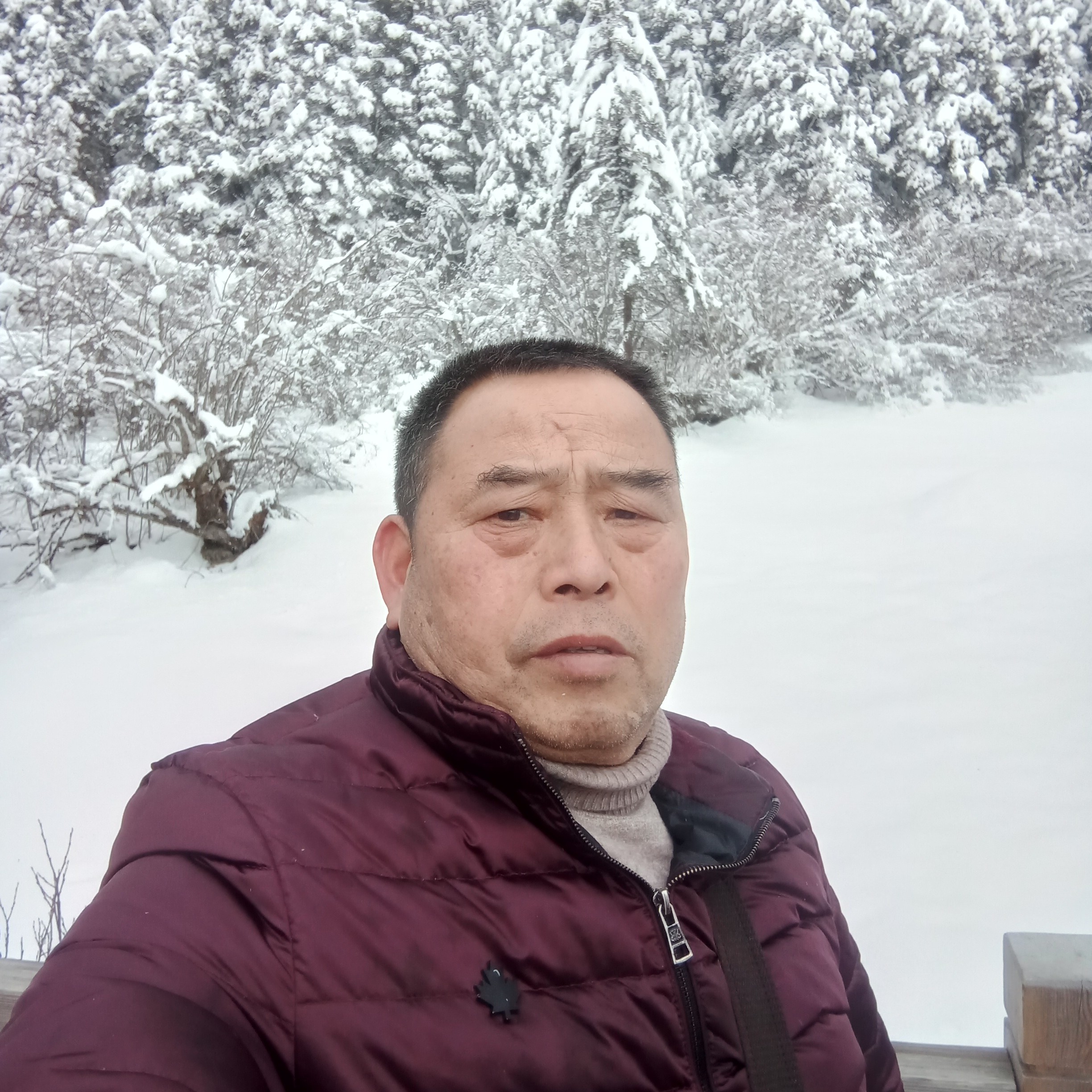 干净愿浅陌的照片