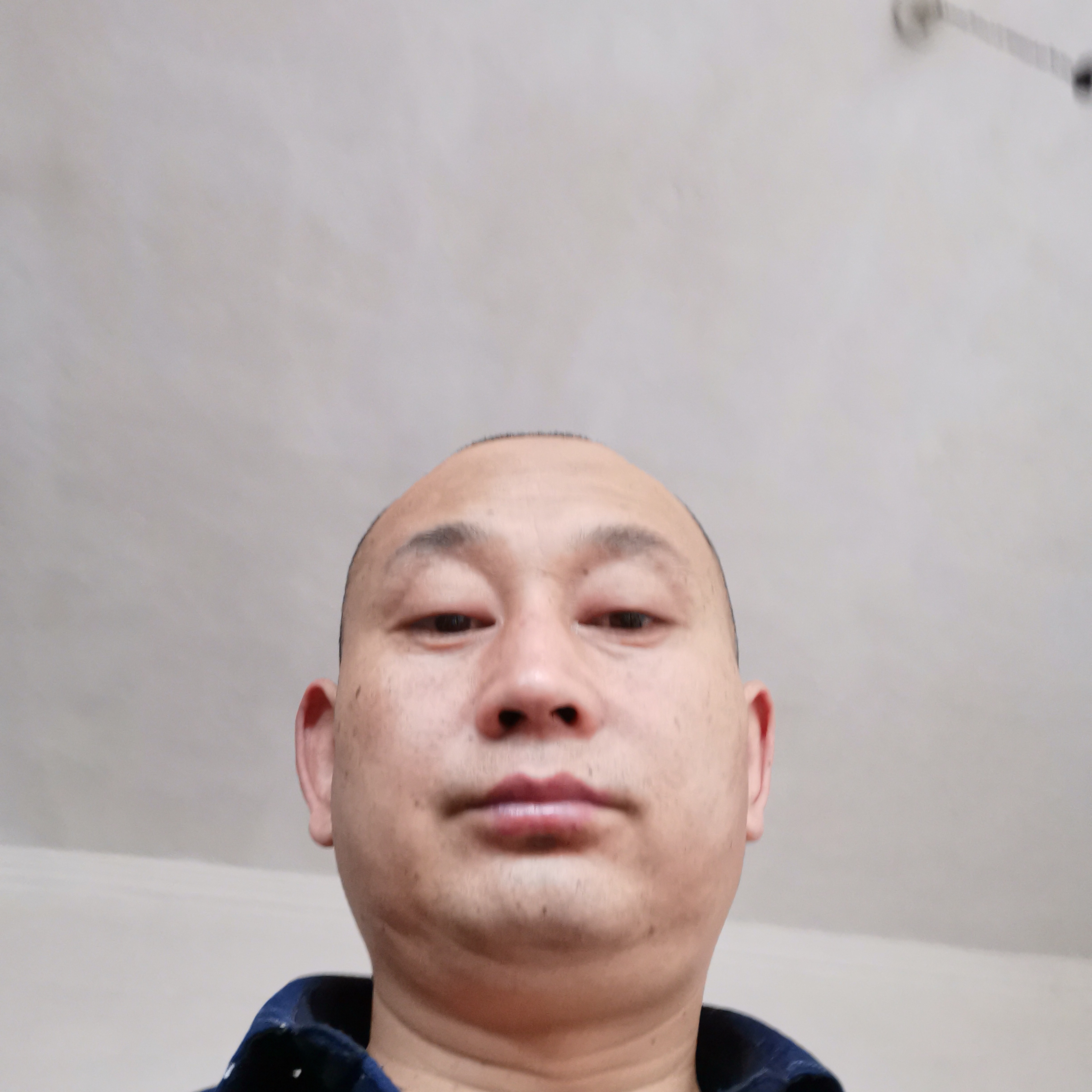 绝恋爱清脆的照片