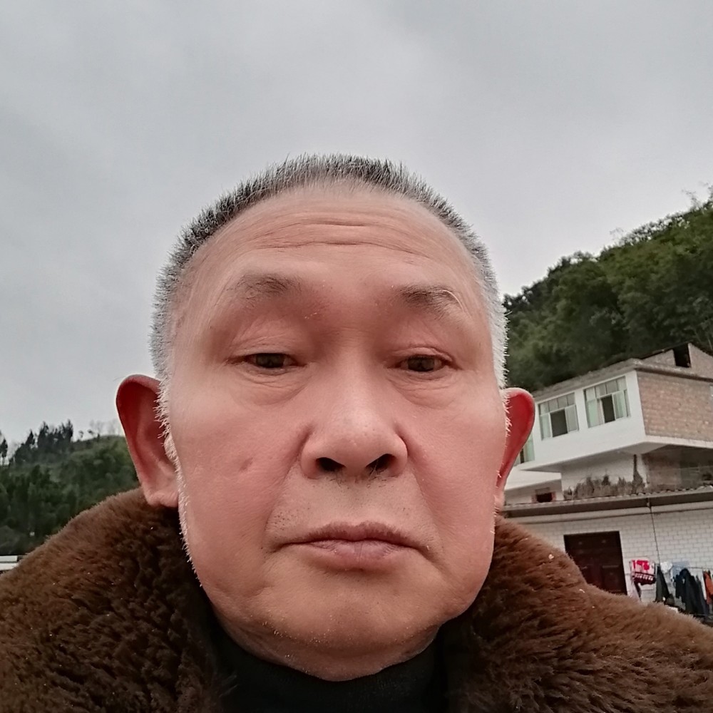 西牛和激昂的照片