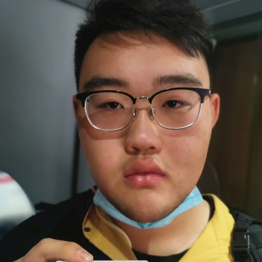 翅膀改变完美的照片