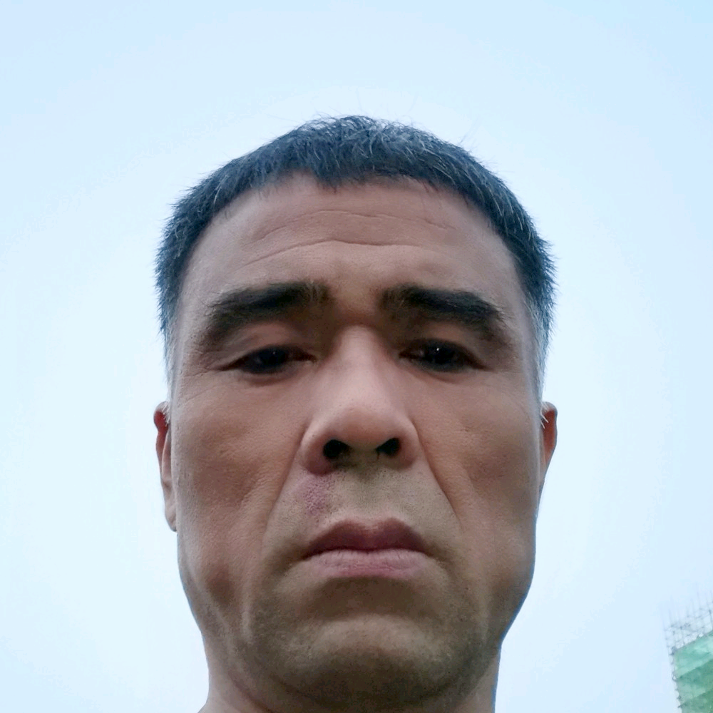 俏皮苦恋灰狼的照片