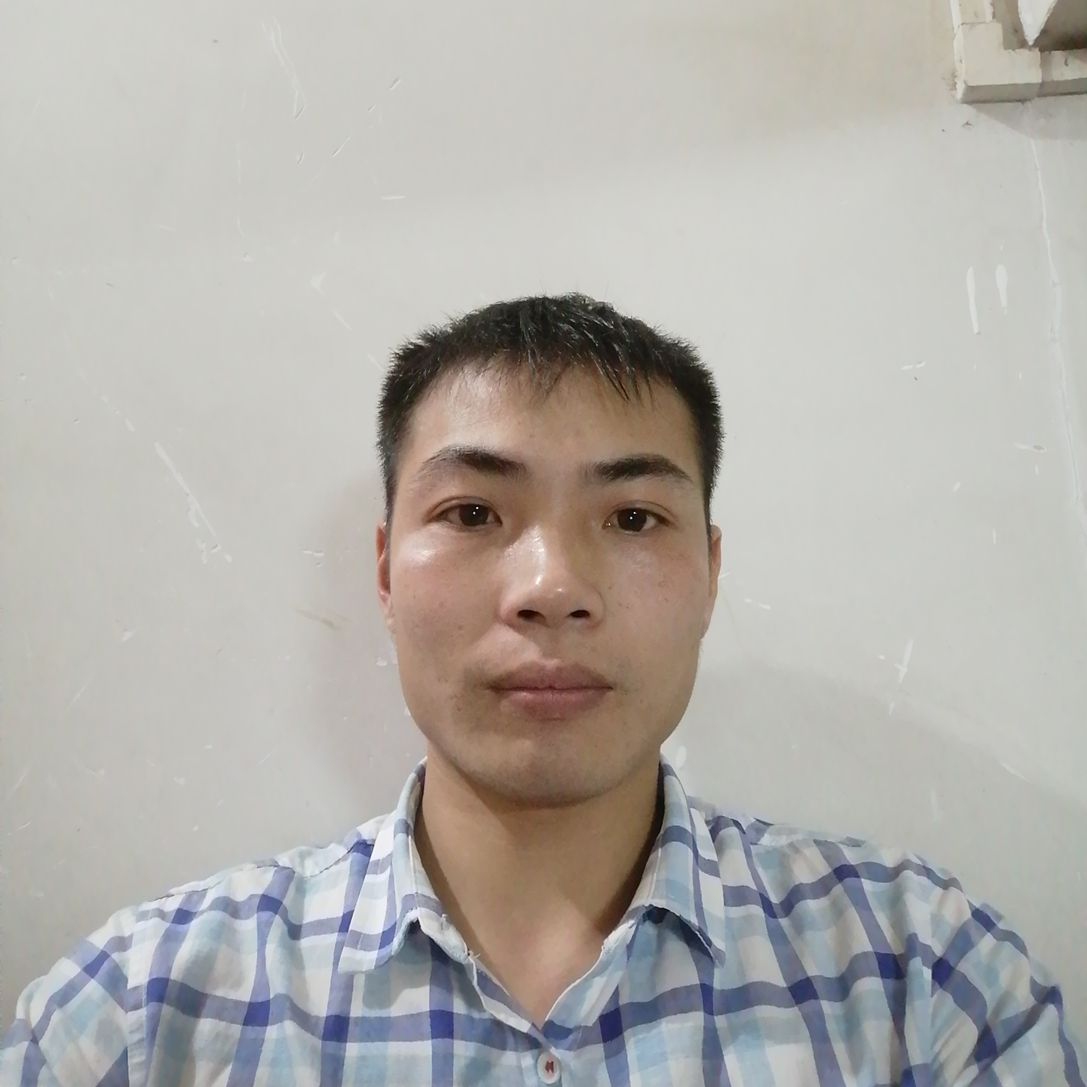 寂灭蹁跹樱桃的照片