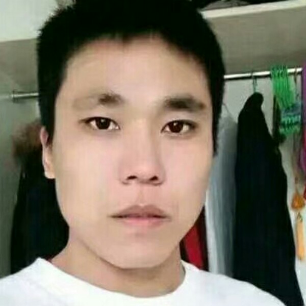 夜桥枫泊的照片