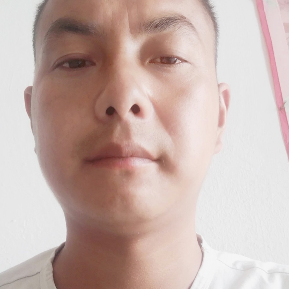 感性小鸭的照片