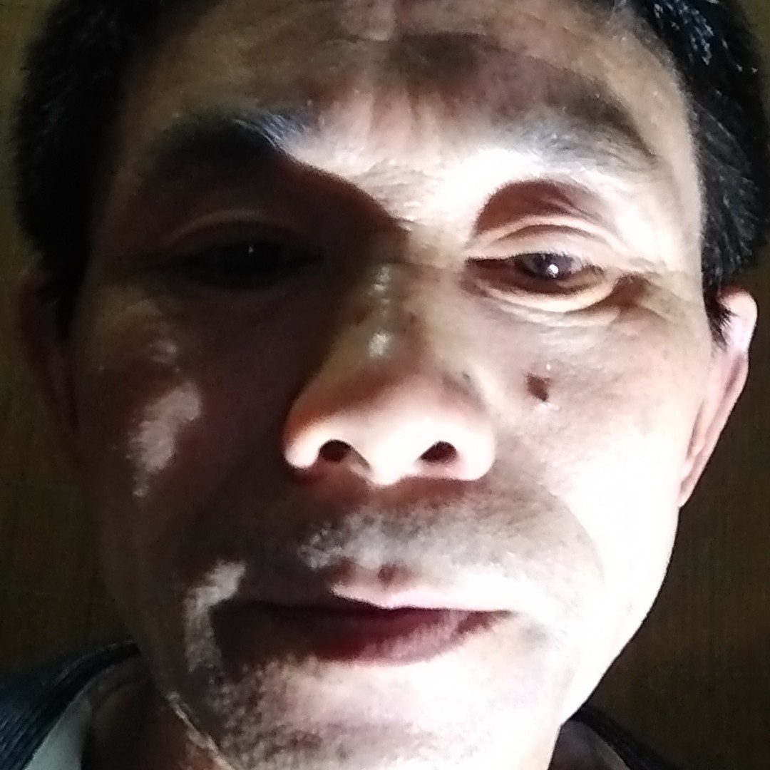 犀牛和害羞的照片