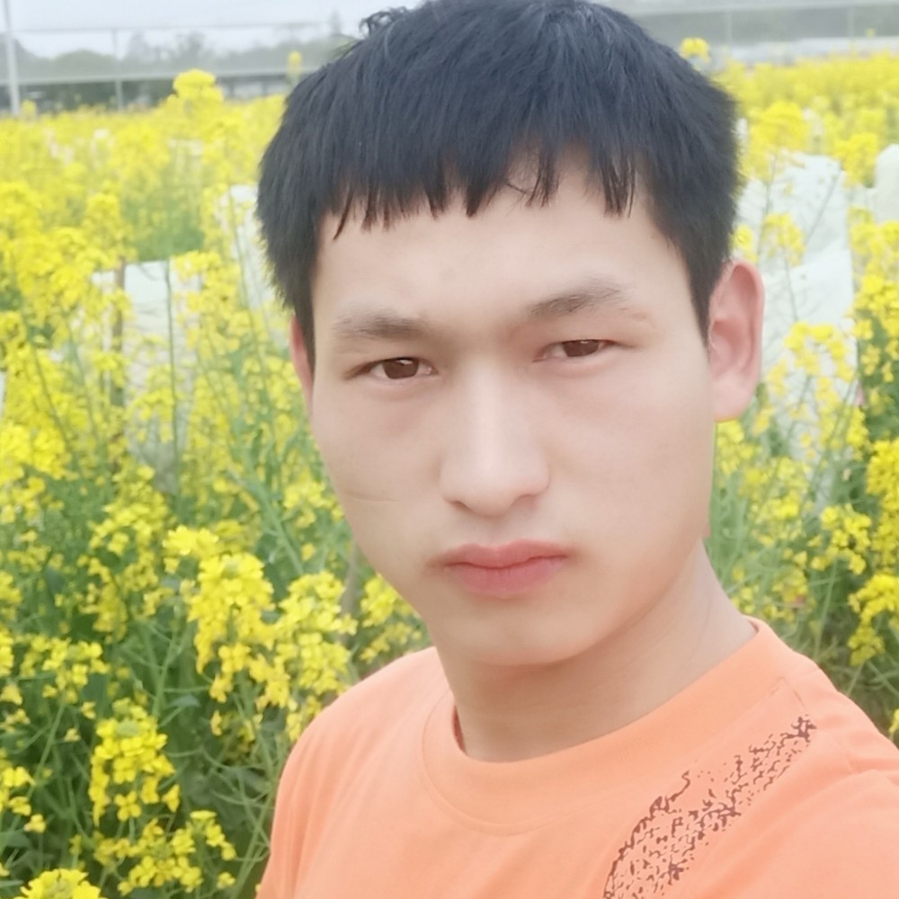 黎明青春的的照片