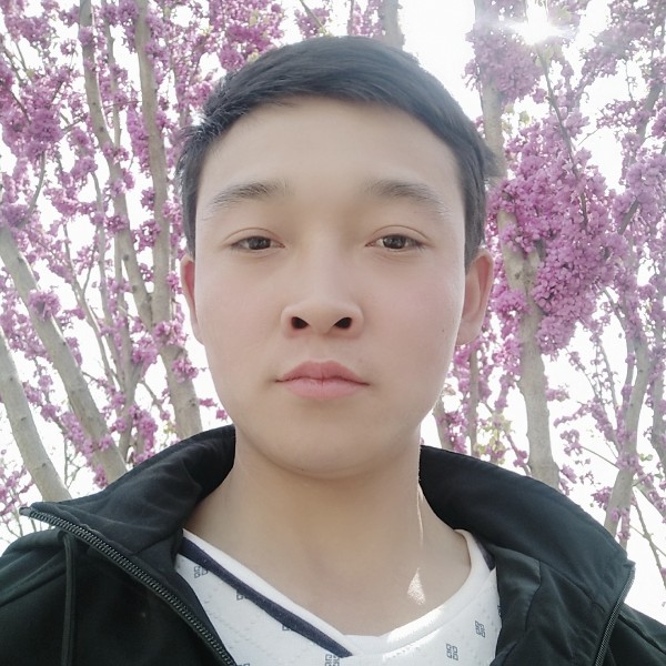 成就拾忆向日葵的照片