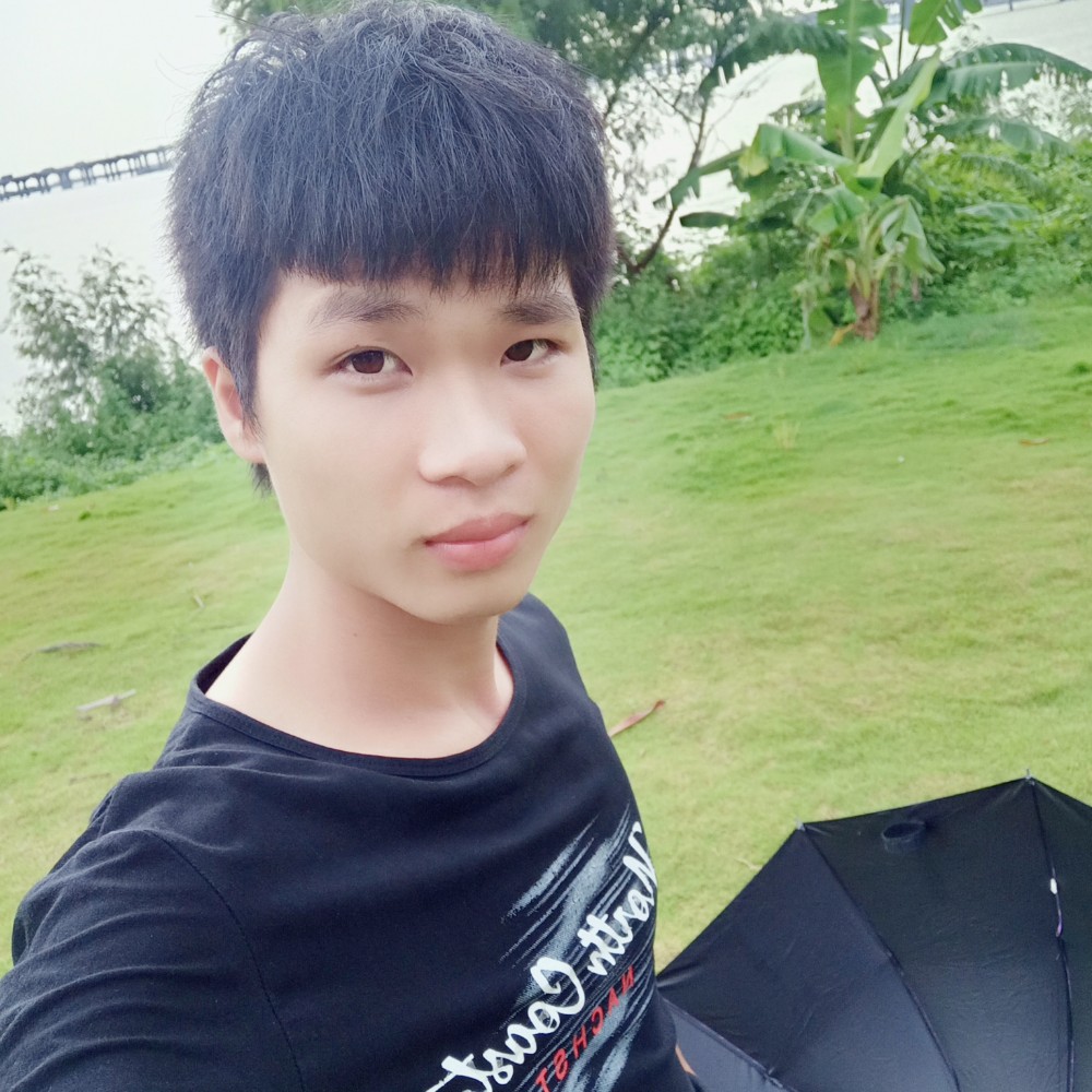 小刺猬舒适的照片