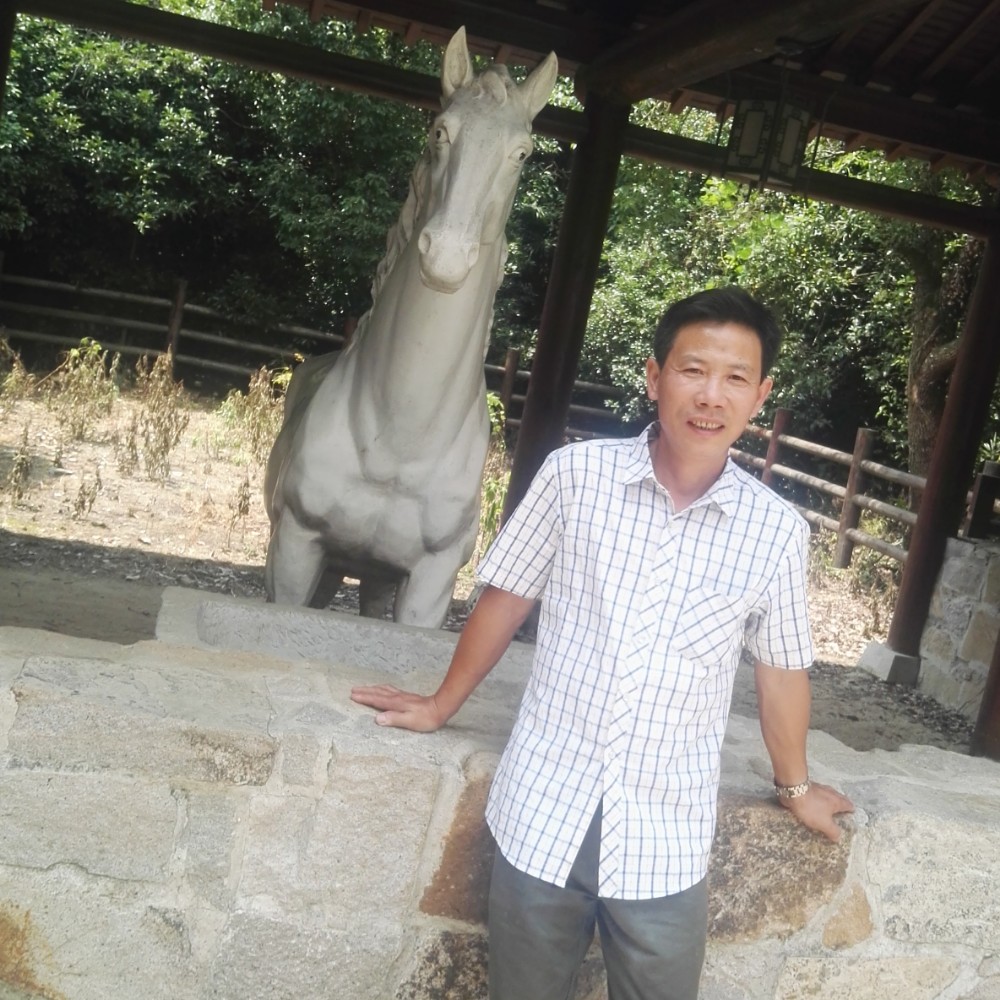 月饼請靓丽的照片