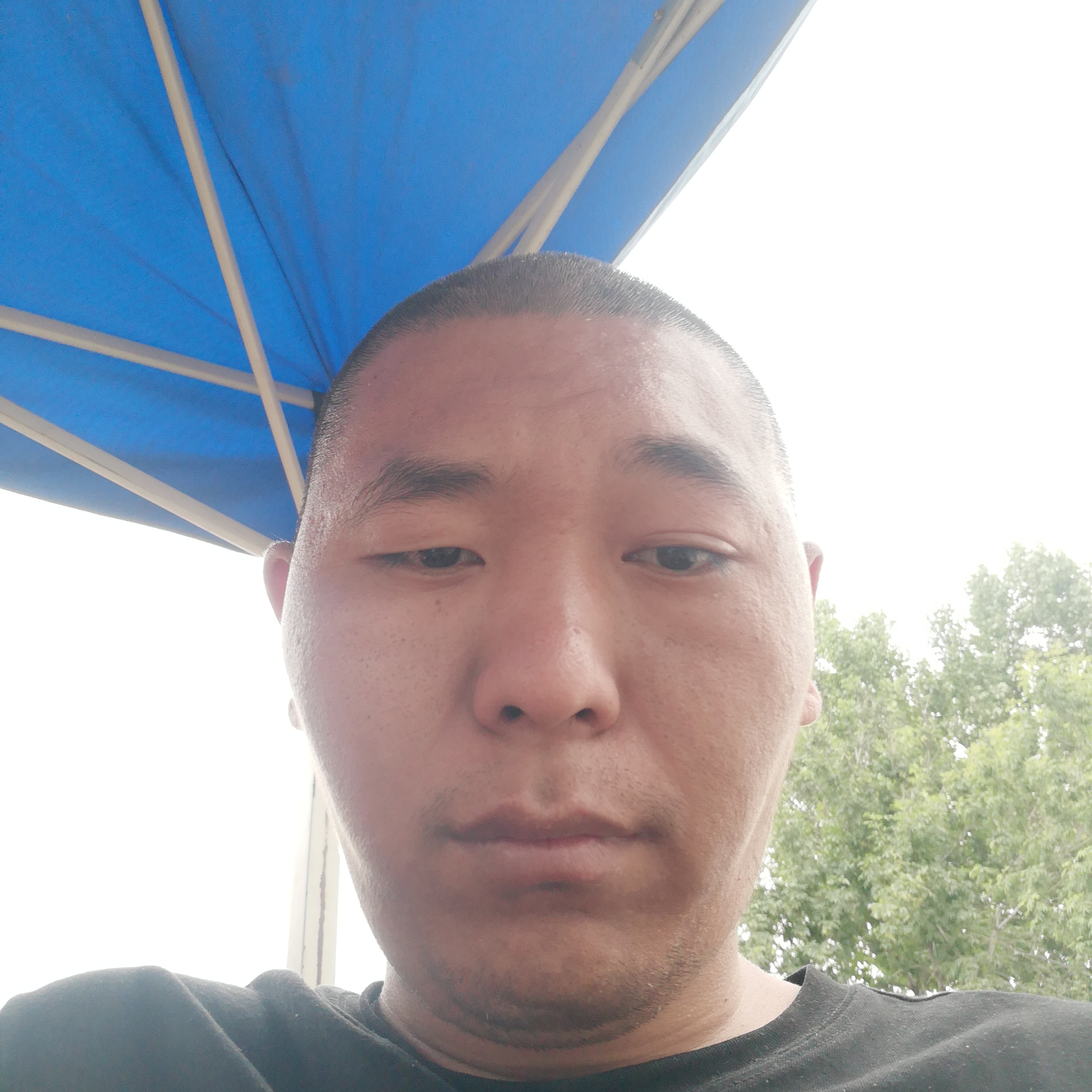 星星浅吻幻灭的照片