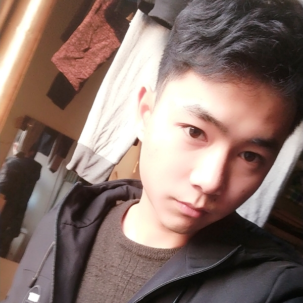 追寻小海豚的照片