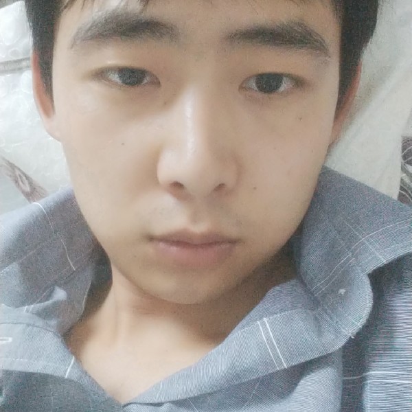 飞鸟流年的照片