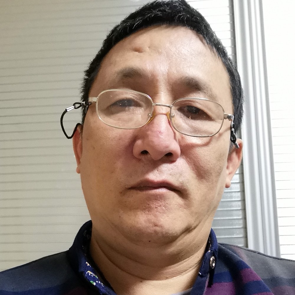 震动蚂蚁的照片
