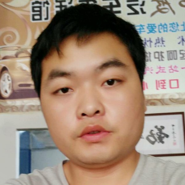 野狼迎孤独的照片