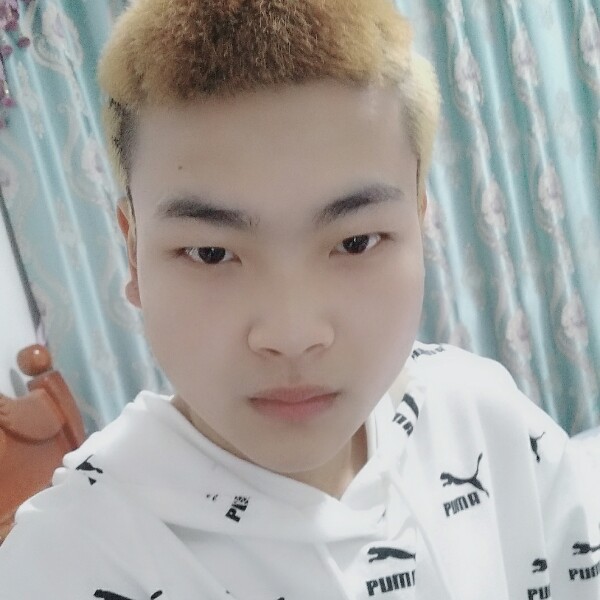 要减肥老鼠的照片