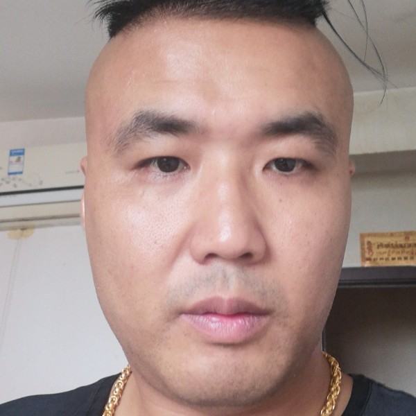 震动泪了斑马的照片