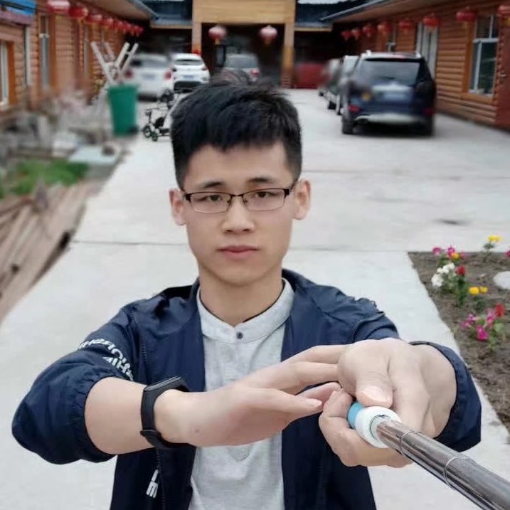 斑马认不清的照片