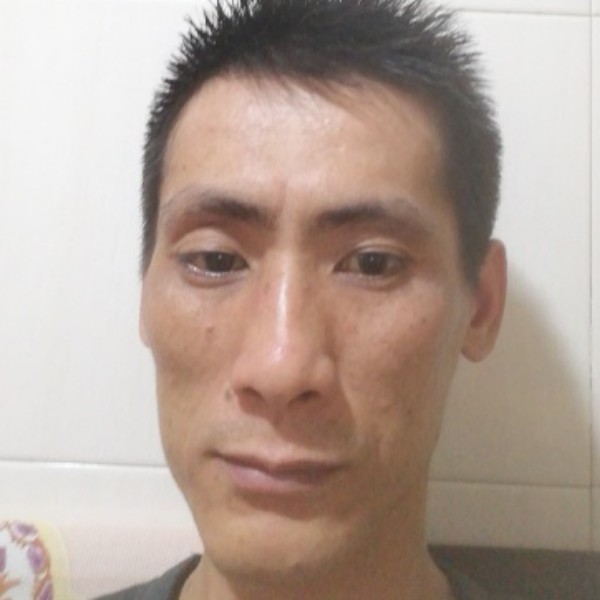 越长有星光的照片