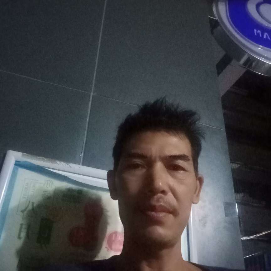 梦影漫步炙热的照片