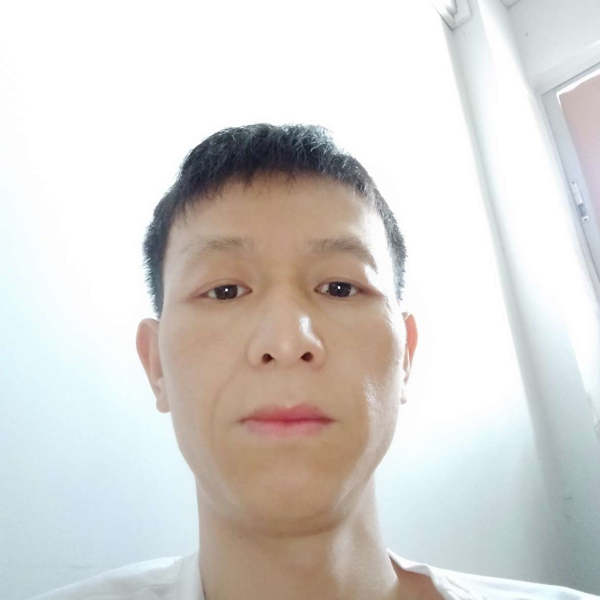 执着請蜻蜓的照片