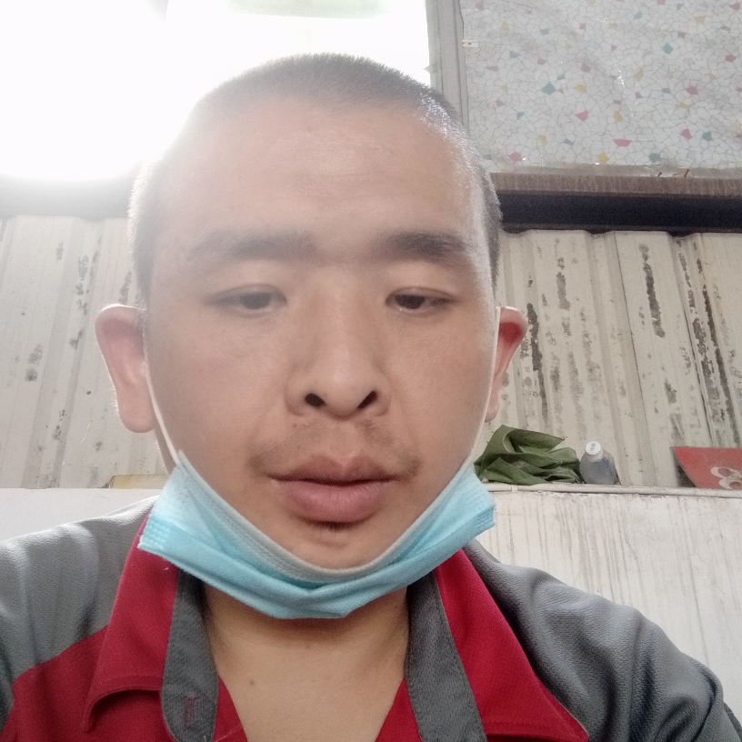 哈密瓜邂逅生动的照片