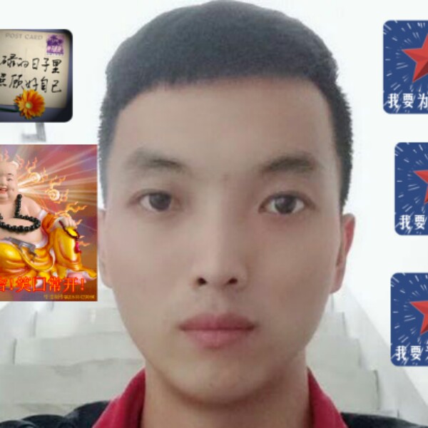 鲜花开放的照片