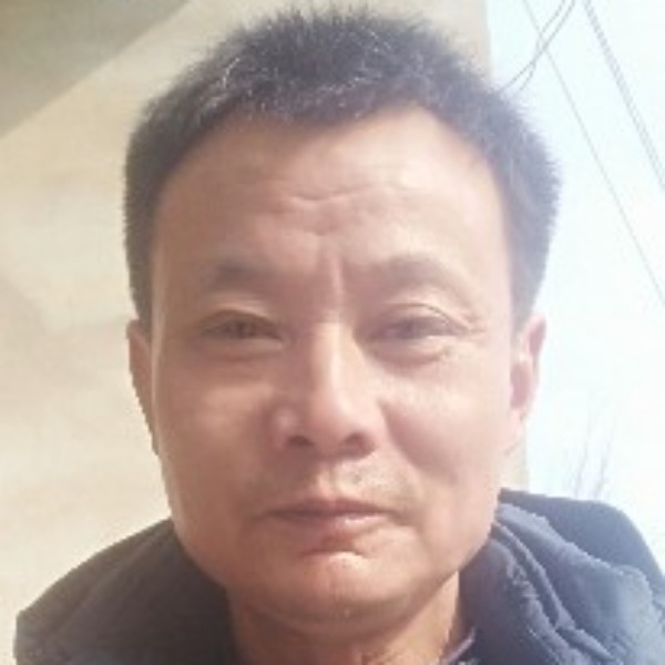 彩色玫魂的照片