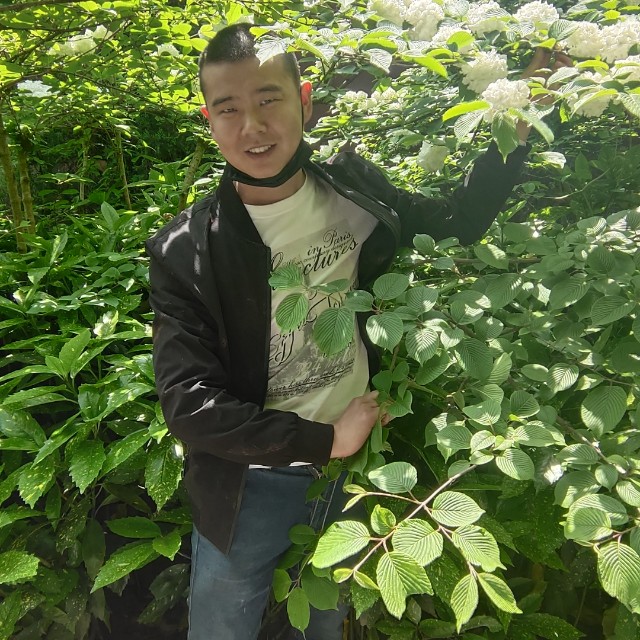 追寻还心岛的照片
