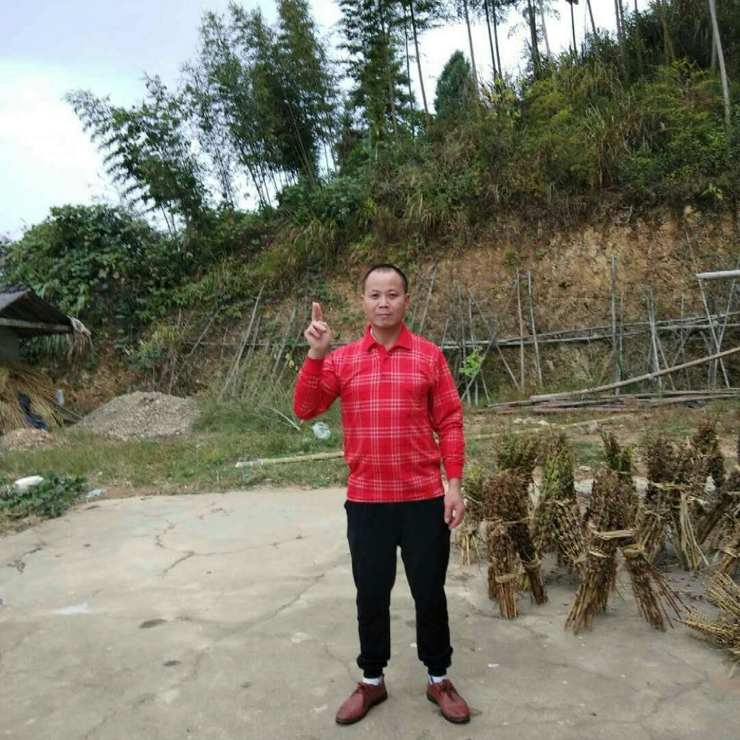 找个女朋友过年！的照片