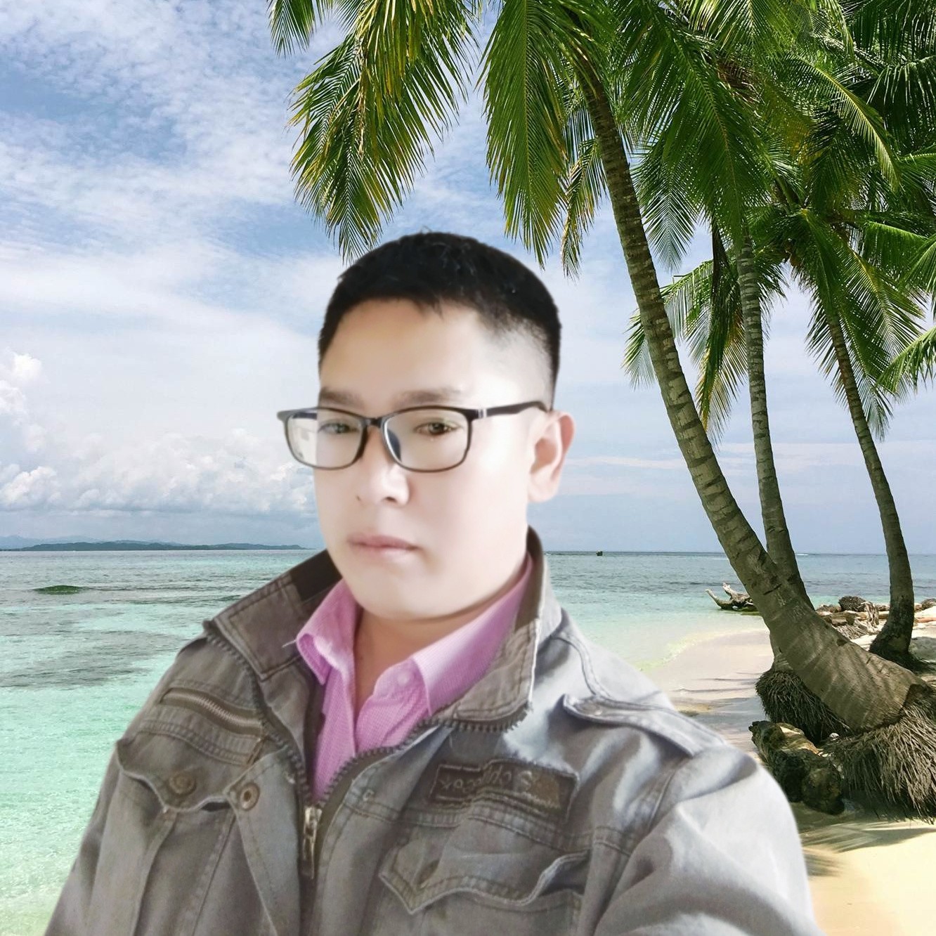 欣喜回首小白菜的照片