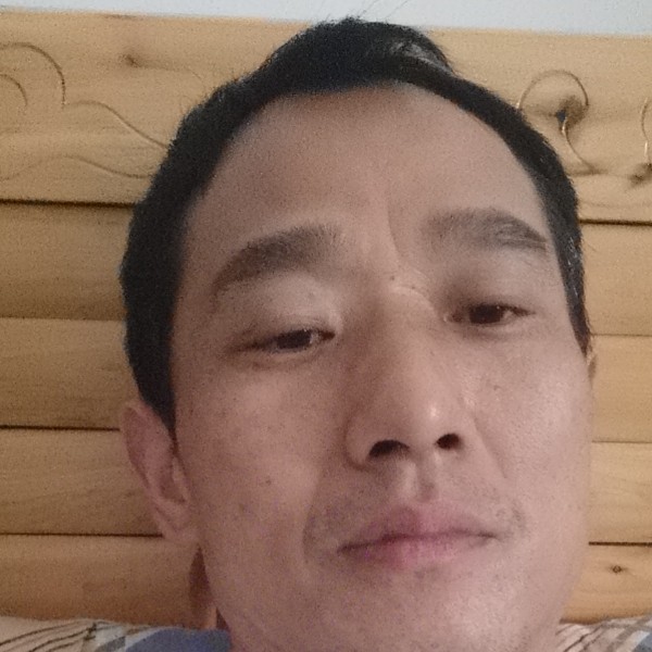 单身狗狗勇往直前的照片