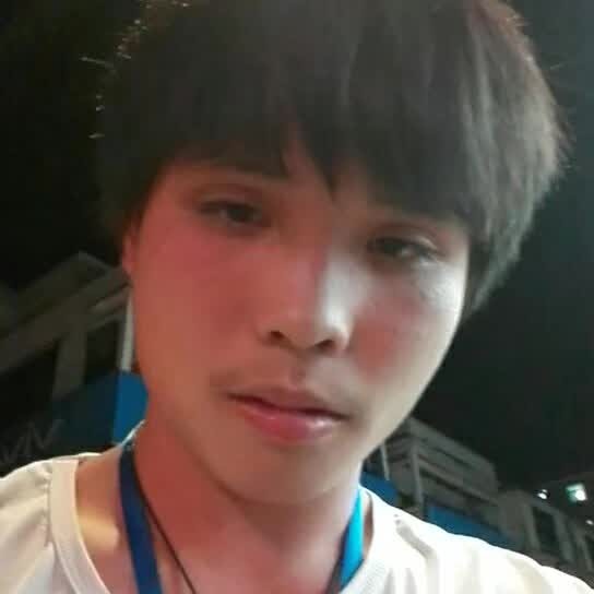 蚂蚁演变懦弱的照片