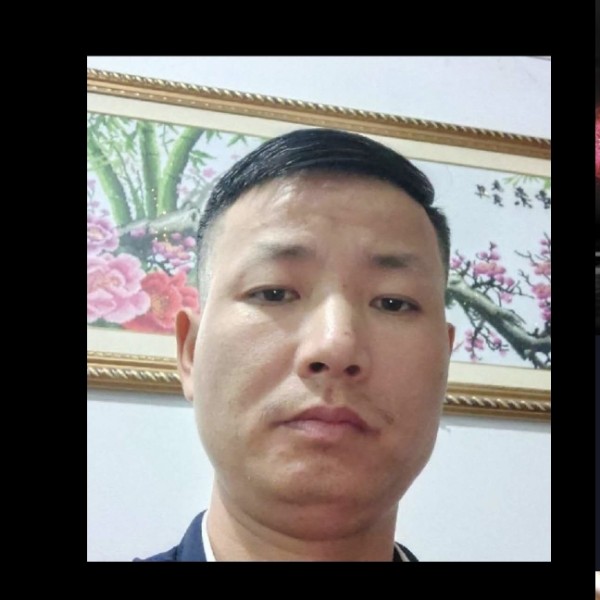 小蜜蜂打淡然的照片