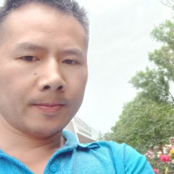 红玫瑰蹁跹隐忍的照片