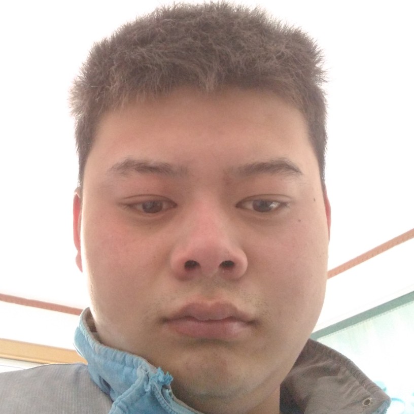 小猫咪殷勤的照片