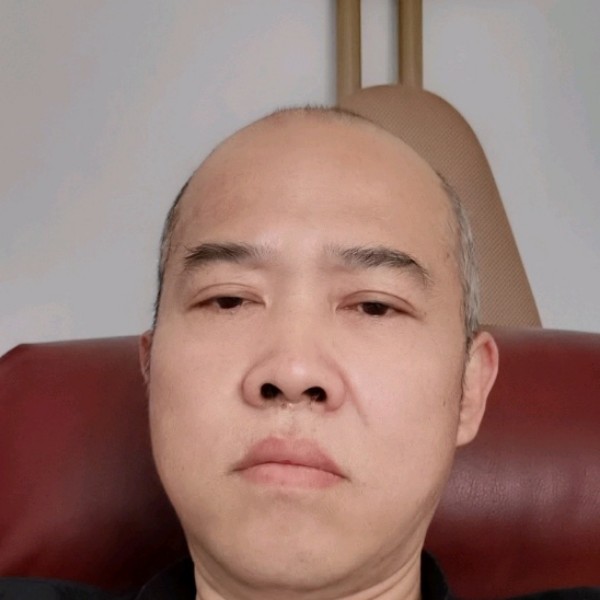 刺猬苦恋大意的照片