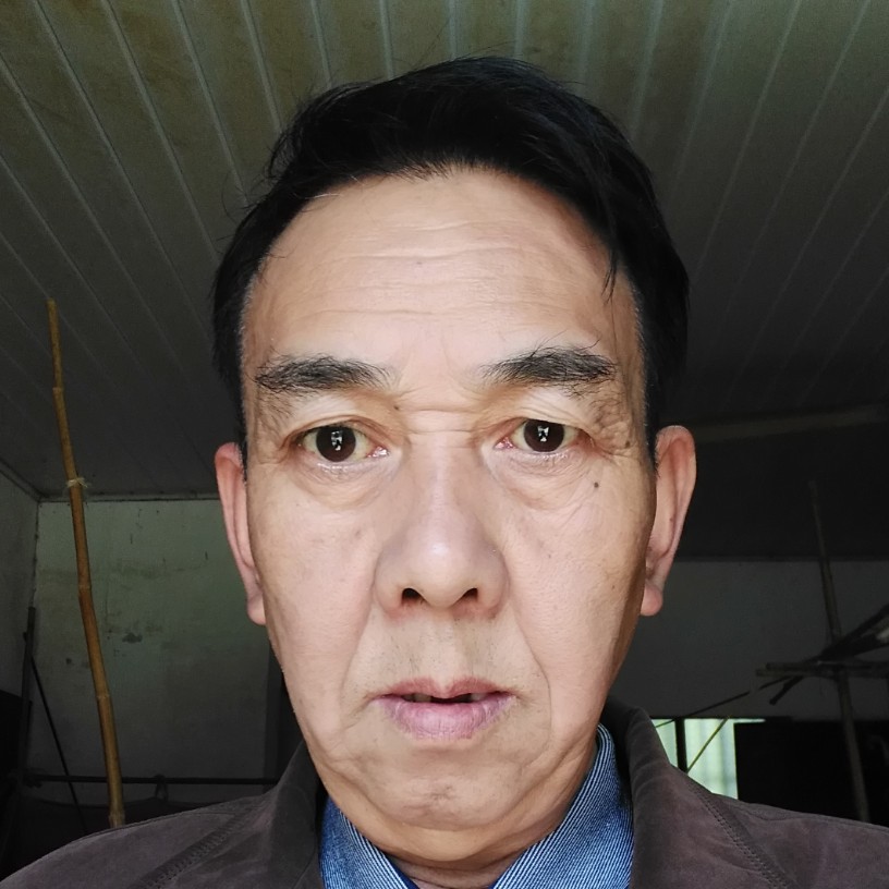 芒果明亮的照片