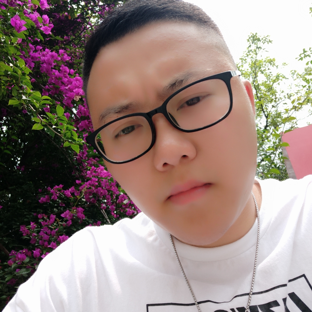 向日葵旳小太陽的照片