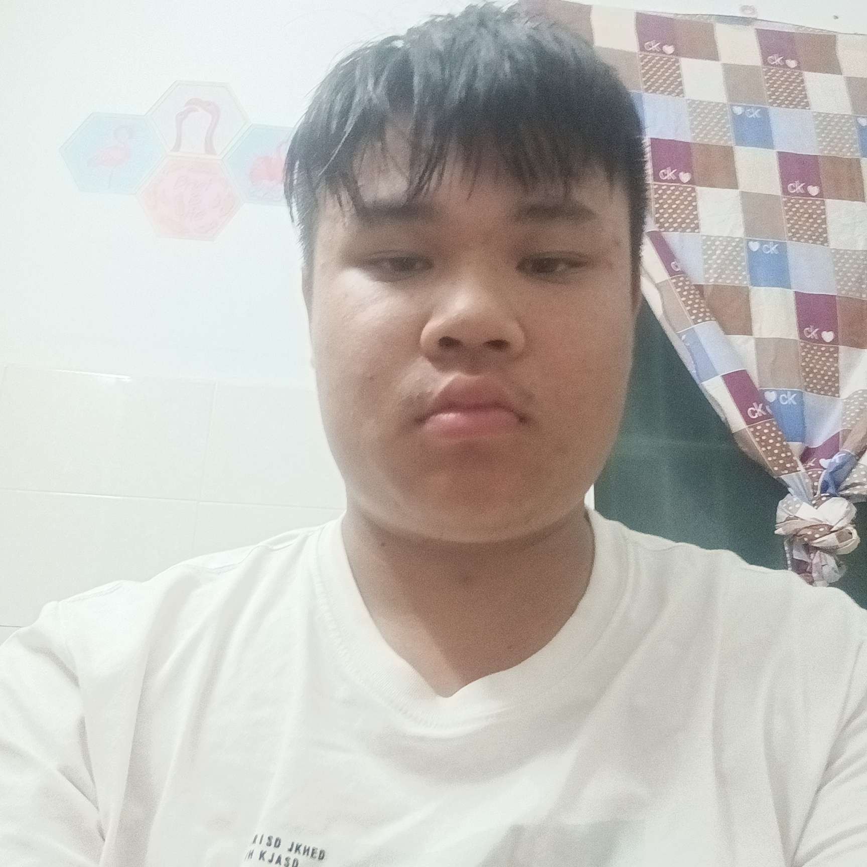 森么的照片