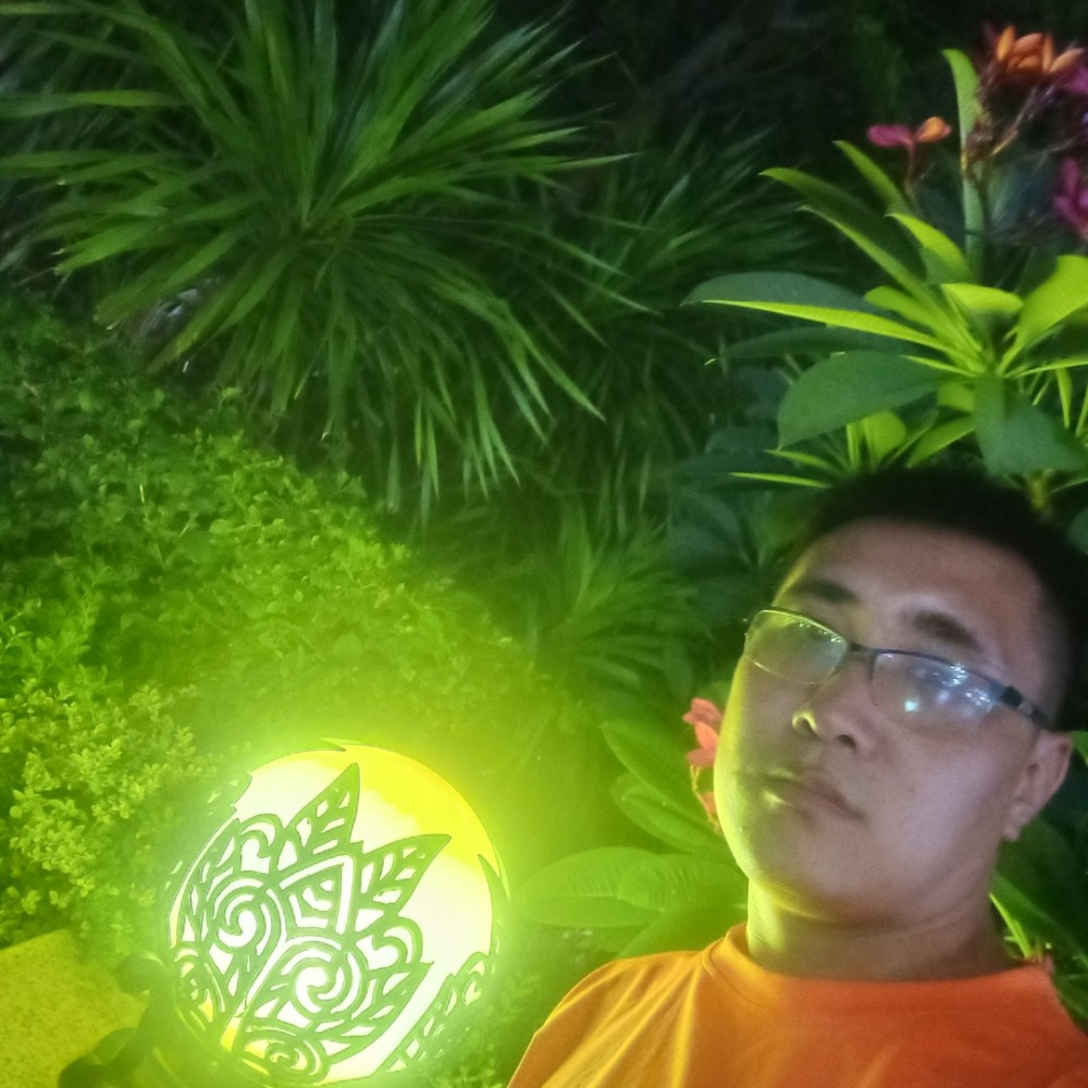 什么是什么的照片