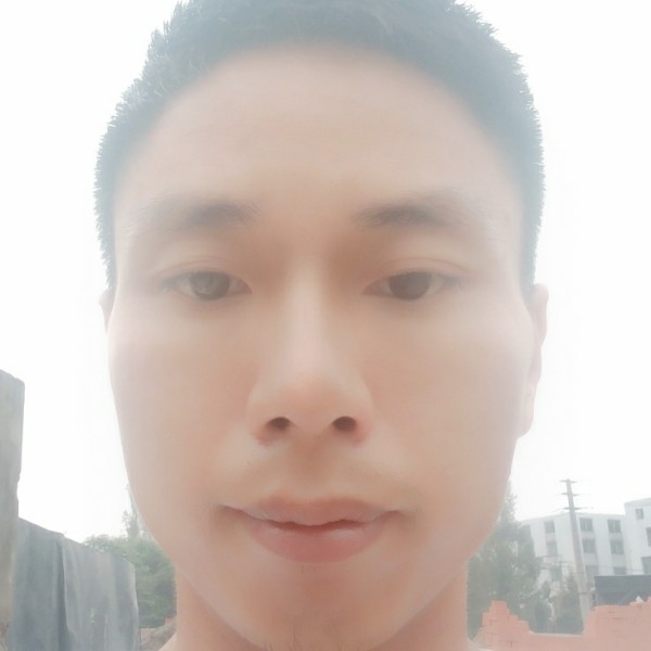 孤独的单身狼的照片