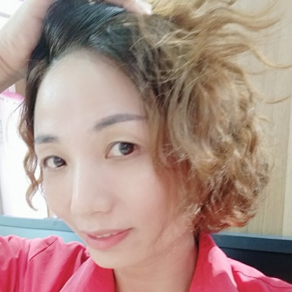 燕子的照片