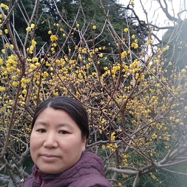 随便怎称呼的照片