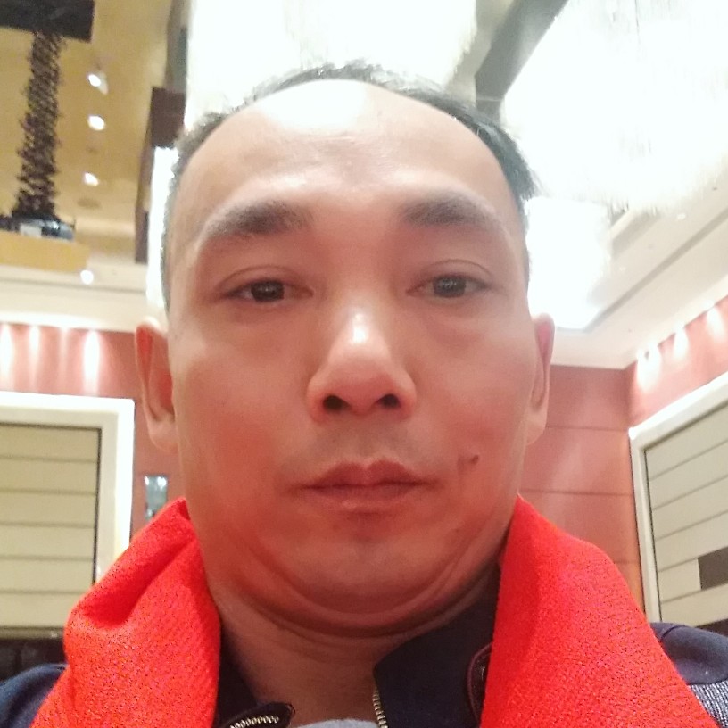猎豹爱冷静的照片