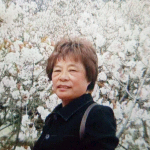 善良不是我的错的照片