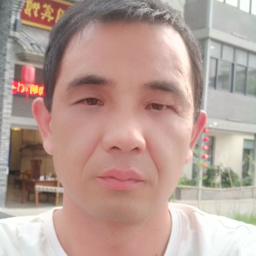 春风拂晓的照片