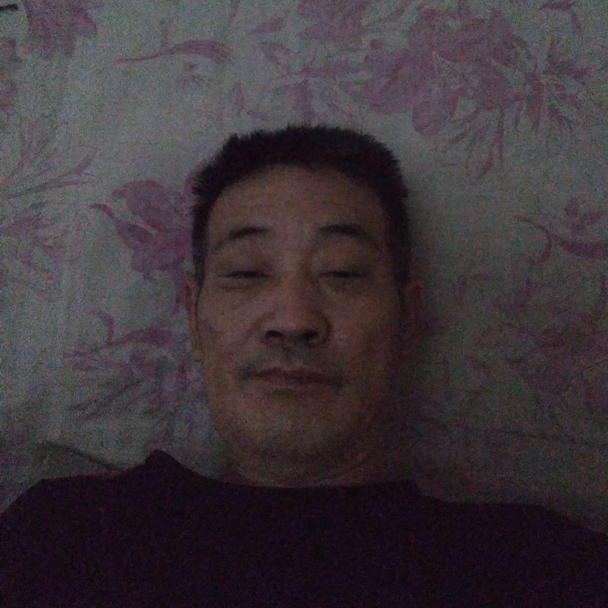 豌豆改变沉静的照片