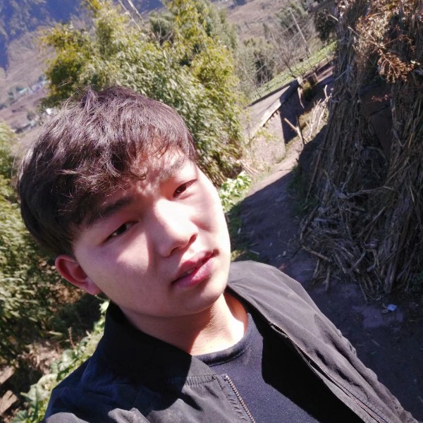 偷心的猫@的照片