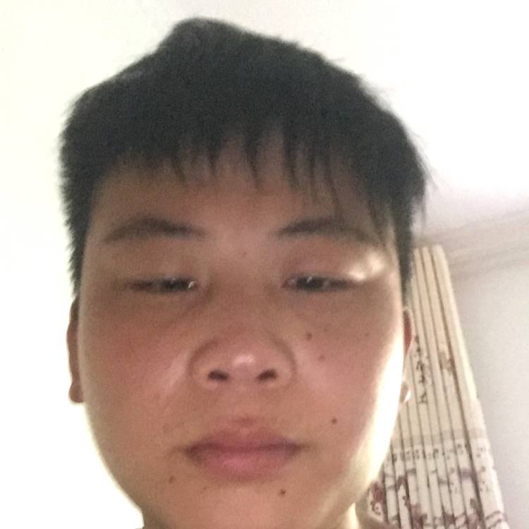520我了的照片